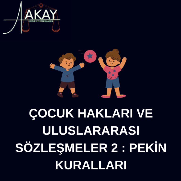 Blog şablon